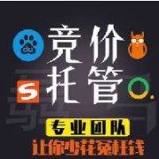 sem賬戶托管公司